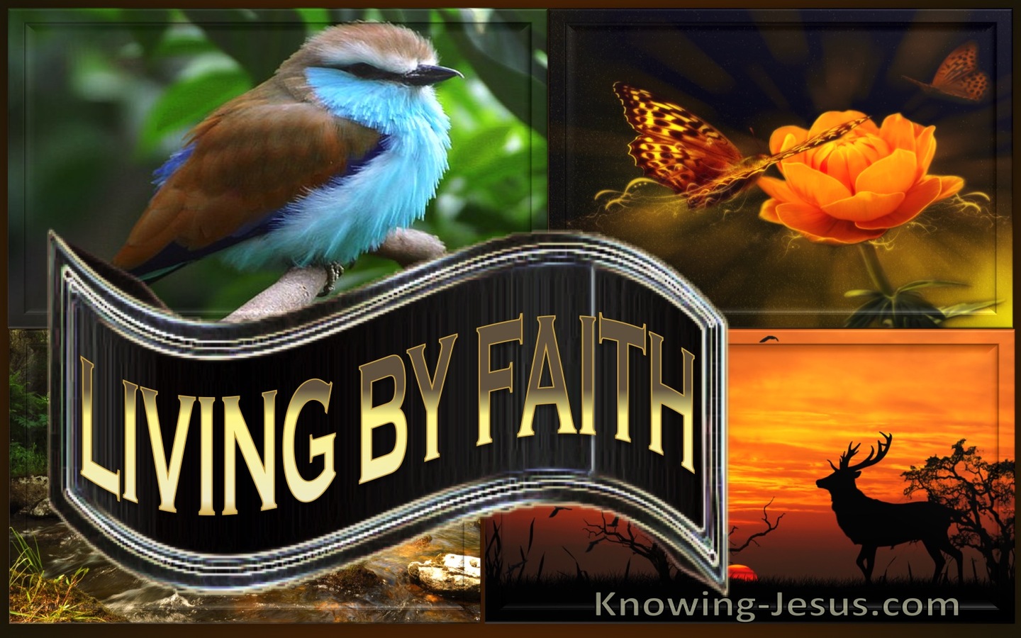 Galatians 3:11 Living By Faith (devotional)12:24   (brown)